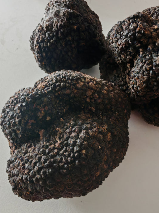 Truffes d'été (tuber aestivum)-L’élégance discrète du terroir