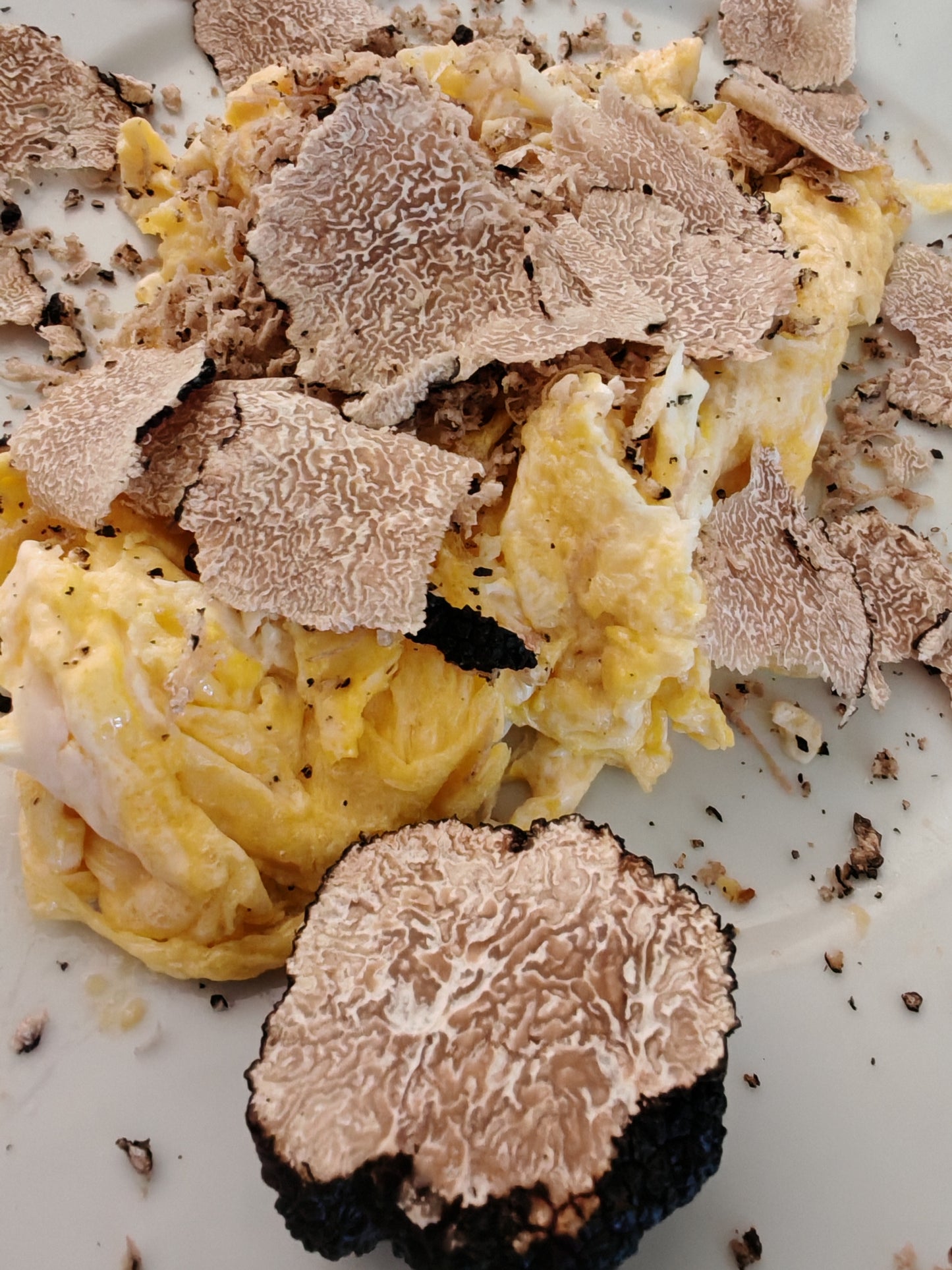 Truffes d'été (tuber aestivum)-L’élégance discrète du terroir