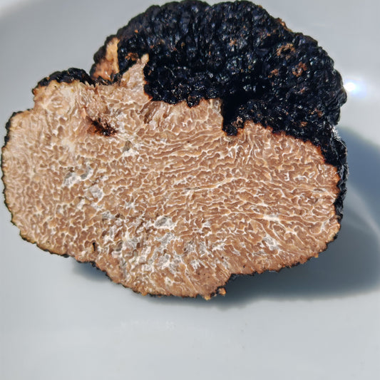 Truffes d'été (tuber aestivum)-L’élégance discrète du terroir
