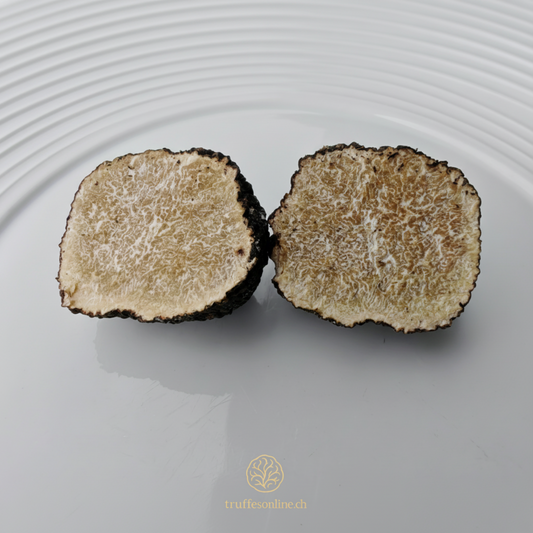 Truffe d’automne – Tuber uncinatum